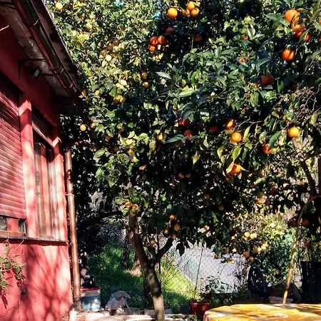 Casa Indipendente Nel Verde Holiday home Rapallo