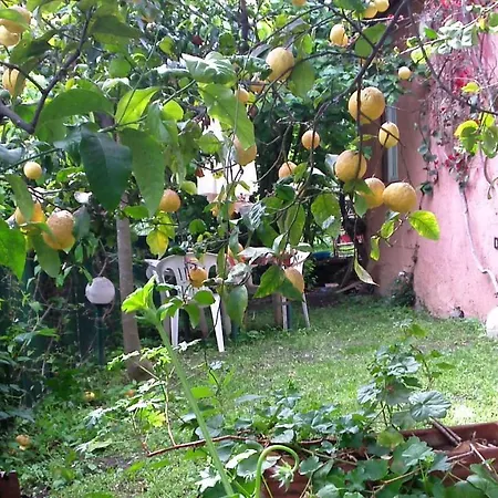 Casa Indipendente Nel Verde Rapallo