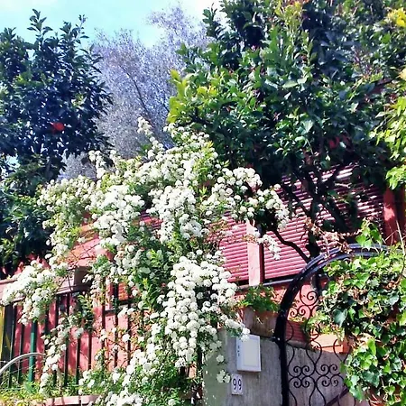 Casa Indipendente Nel Verde Holiday home *